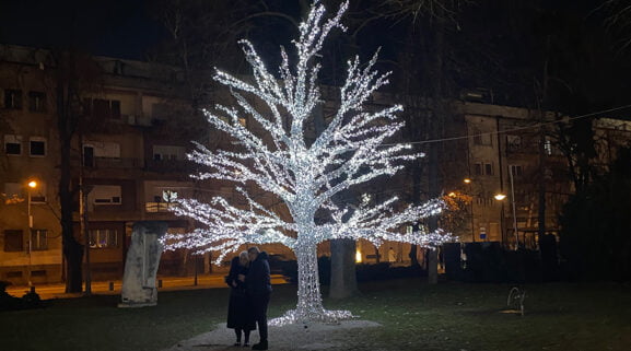 Banjaluka Zimzobal Glowing Tree