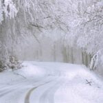A snowy winding road on Banj Brdo in Banjaluka, surrounded by trees heavily covered in fresh white snow during winter.